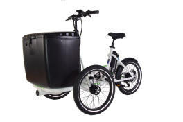 Triciclo elettrico cargo bike Etnnic 