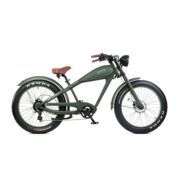 Fat bike elettrica verde electri